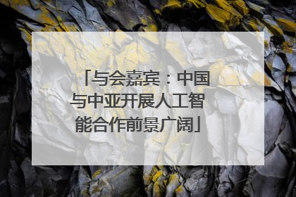 与会嘉宾：中国与中亚开展人工智能合作前景广阔