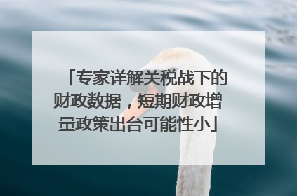 专家详解关税战下的财政数据，短期财政增量政策出台可能性小