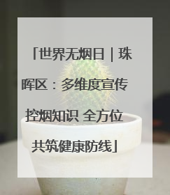 世界无烟日｜珠晖区：多维度宣传控烟知识 全方位共筑健康防线