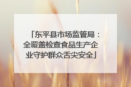 东平县市场监管局：全覆盖检查食品生产企业守护群众舌尖安全