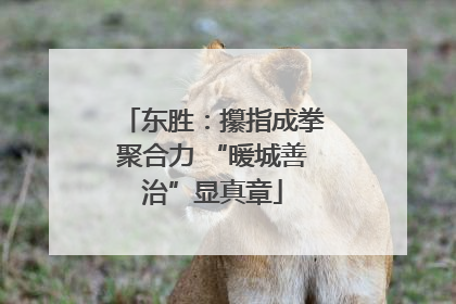 东胜：攥指成拳聚合力 “暖城善治”显真章