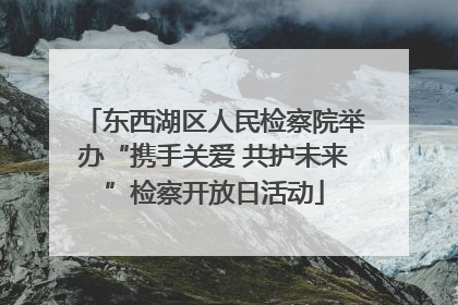 东西湖区人民检察院举办“携手关爱 共护未来”检察开放日活动