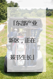 东部产业新区，正在拔节生长