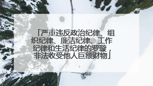 严重违反政治纪律、组织纪律、廉洁纪律、工作纪律和生活纪律的罗璇，非法收受他人巨额财物