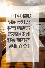 中移物联明厨亮灶及智慧药店方案亮相贵州移动商客产品推介会
