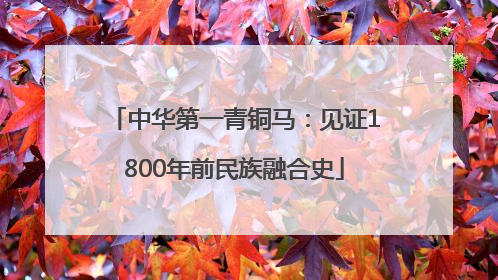 中华第一青铜马：见证1800年前民族融合史