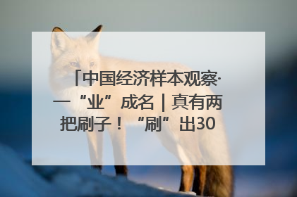 中国经济样本观察·一“业”成名｜真有两把刷子！“刷”出30亿级“颜值经济”