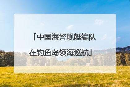 中国海警舰艇编队在钓鱼岛领海巡航