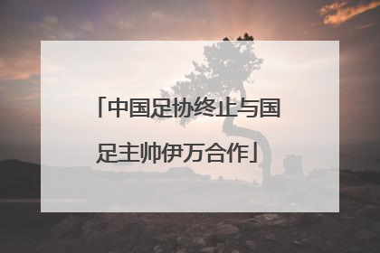 中国足协终止与国足主帅伊万合作