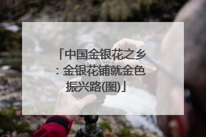 中国金银花之乡：金银花铺就金色振兴路(图)