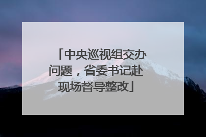 中央巡视组交办问题，省委书记赴现场督导整改