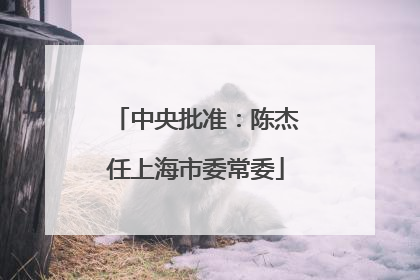 中央批准：陈杰任上海市委常委