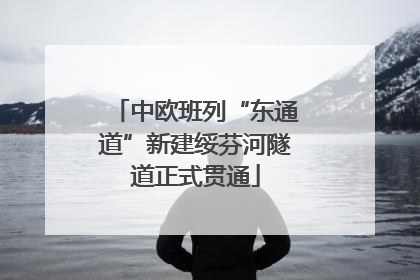 中欧班列“东通道”新建绥芬河隧道正式贯通