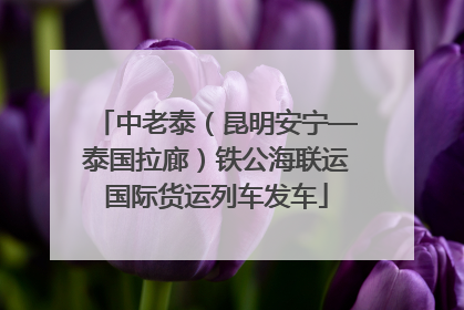 中老泰（昆明安宁—泰国拉廊）铁公海联运国际货运列车发车