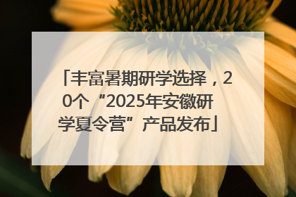 丰富暑期研学选择，20个“2025年安徽研学夏令营”产品发布