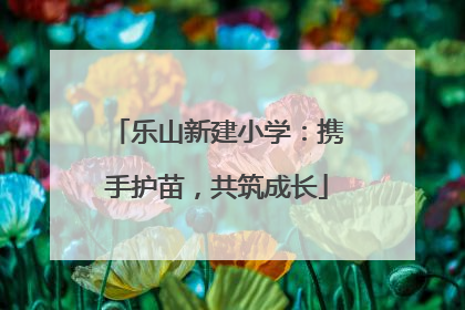 乐山新建小学：携手护苗，共筑成长