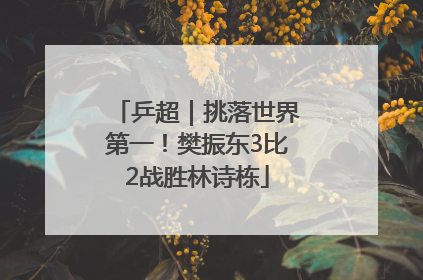 乒超｜挑落世界第一！樊振东3比2战胜林诗栋