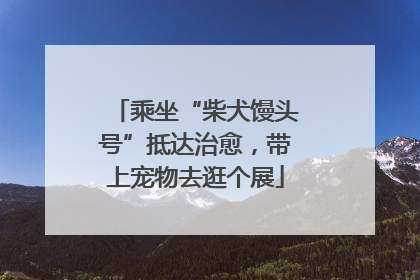 乘坐“柴犬馒头号”抵达治愈，带上宠物去逛个展