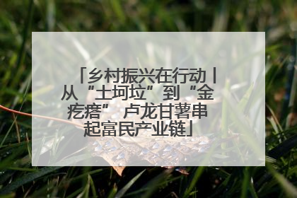 乡村振兴在行动丨从“土坷垃”到“金疙瘩” 卢龙甘薯串起富民产业链