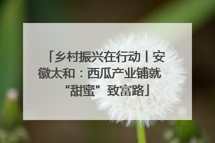 乡村振兴在行动丨安徽太和：西瓜产业铺就“甜蜜”致富路
