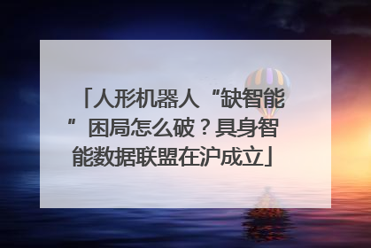 人形机器人“缺智能”困局怎么破？具身智能数据联盟在沪成立