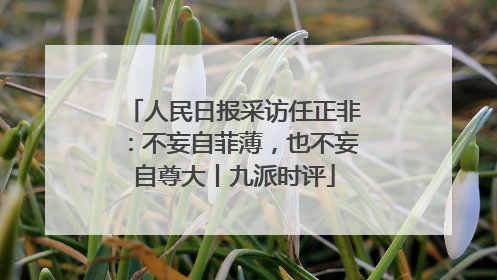 人民日报采访任正非：不妄自菲薄，也不妄自尊大丨九派时评