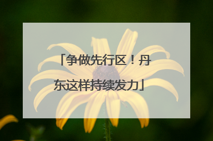 争做先行区！丹东这样持续发力
