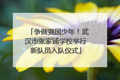 争做强国少年！武汉市张家铺学校举行新队员入队仪式