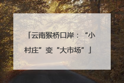 云南猴桥口岸：“小村庄”变“大市场”
