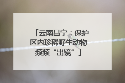云南昌宁：保护区内珍稀野生动物频频“出镜”
