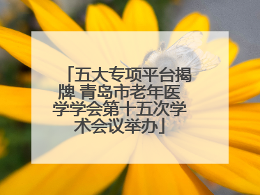 五大专项平台揭牌 青岛市老年医学学会第十五次学术会议举办