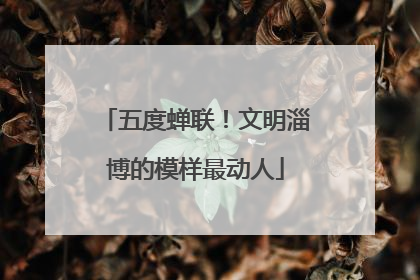 五度蝉联！文明淄博的模样最动人