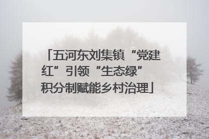 五河东刘集镇“党建红”引领“生态绿” 积分制赋能乡村治理