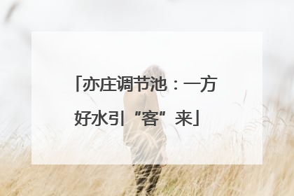 亦庄调节池：一方好水引“客”来