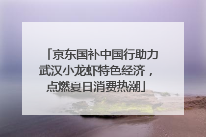 京东国补中国行助力武汉小龙虾特色经济，点燃夏日消费热潮