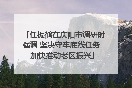 任振鹤在庆阳市调研时强调 坚决守牢底线任务 加快推动老区振兴