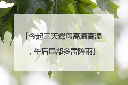 今起三天鹭岛高温高湿，午后局部多雷阵雨