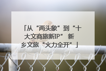 从“两头象”到“十大文商旅新IP” 新乡文旅“火力全开”