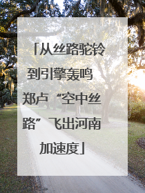 从丝路驼铃到引擎轰鸣 郑卢“空中丝路”飞出河南加速度
