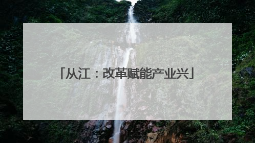 从江：改革赋能产业兴