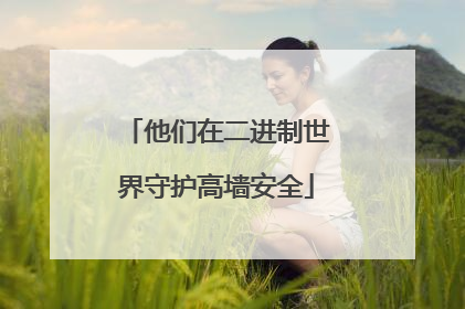 他们在二进制世界守护高墙安全