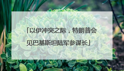 以伊冲突之际，特朗普会见巴基斯坦陆军参谋长