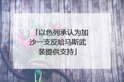 以色列承认为加沙一支反哈马斯武装提供支持