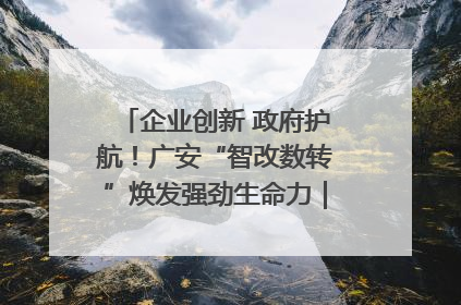 企业创新 政府护航！广安“智改数转”焕发强劲生命力｜市州焕新力