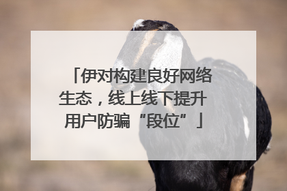 伊对构建良好网络生态，线上线下提升用户防骗“段位”