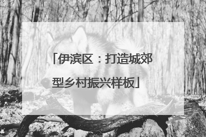 伊滨区：打造城郊型乡村振兴样板