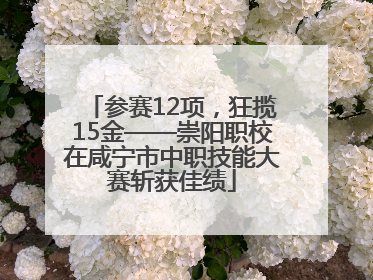 参赛12项，狂揽15金——崇阳职校在咸宁市中职技能大赛斩获佳绩