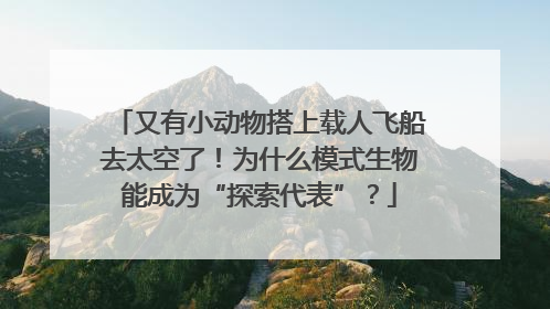 又有小动物搭上载人飞船去太空了！为什么模式生物能成为“探索代表”？