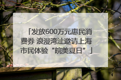 发放600万元惠民消费券 浪漫湾沚邀请上海市民体验“皖美夏日”
