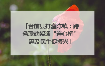 台前县打渔陈镇：跨省联建架通“连心桥” 惠及民生促振兴